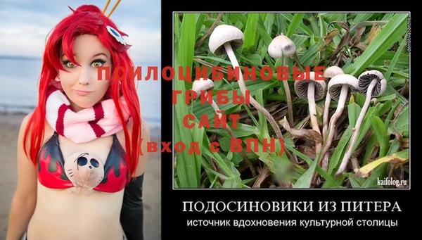2c-b Бугульма