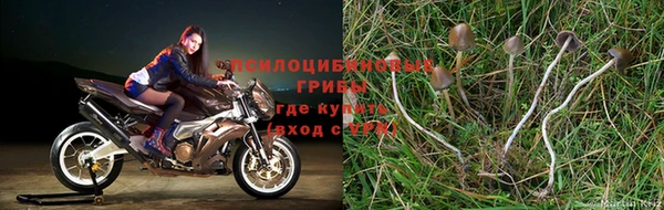MDMA Бронницы