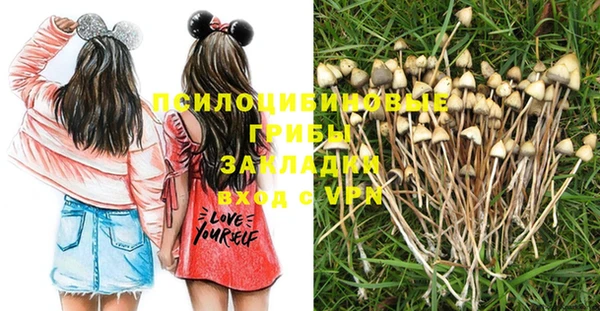 прущая мука Бородино